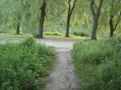DSC08256.JPG
